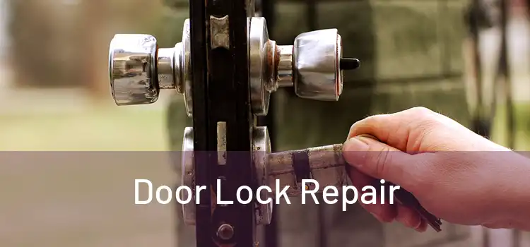 Door Lock Repair