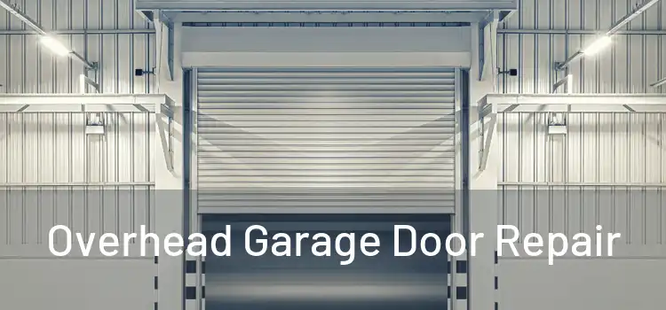  Overhead Garage Door Repair 